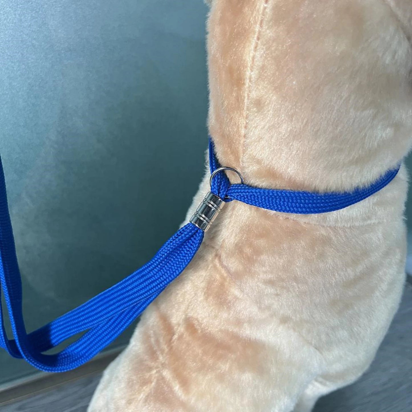 Loop per toelettatura animali domestici Fissatore per il bagno del cane
