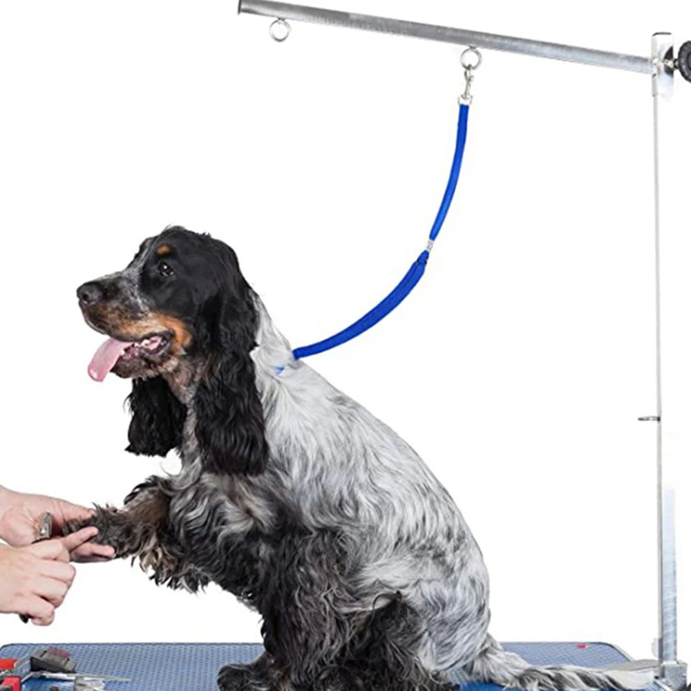 guinzaglio da bagno, cablaggio fisso per cani e gatti, imbracatura regolabile, accessori per animali domestici