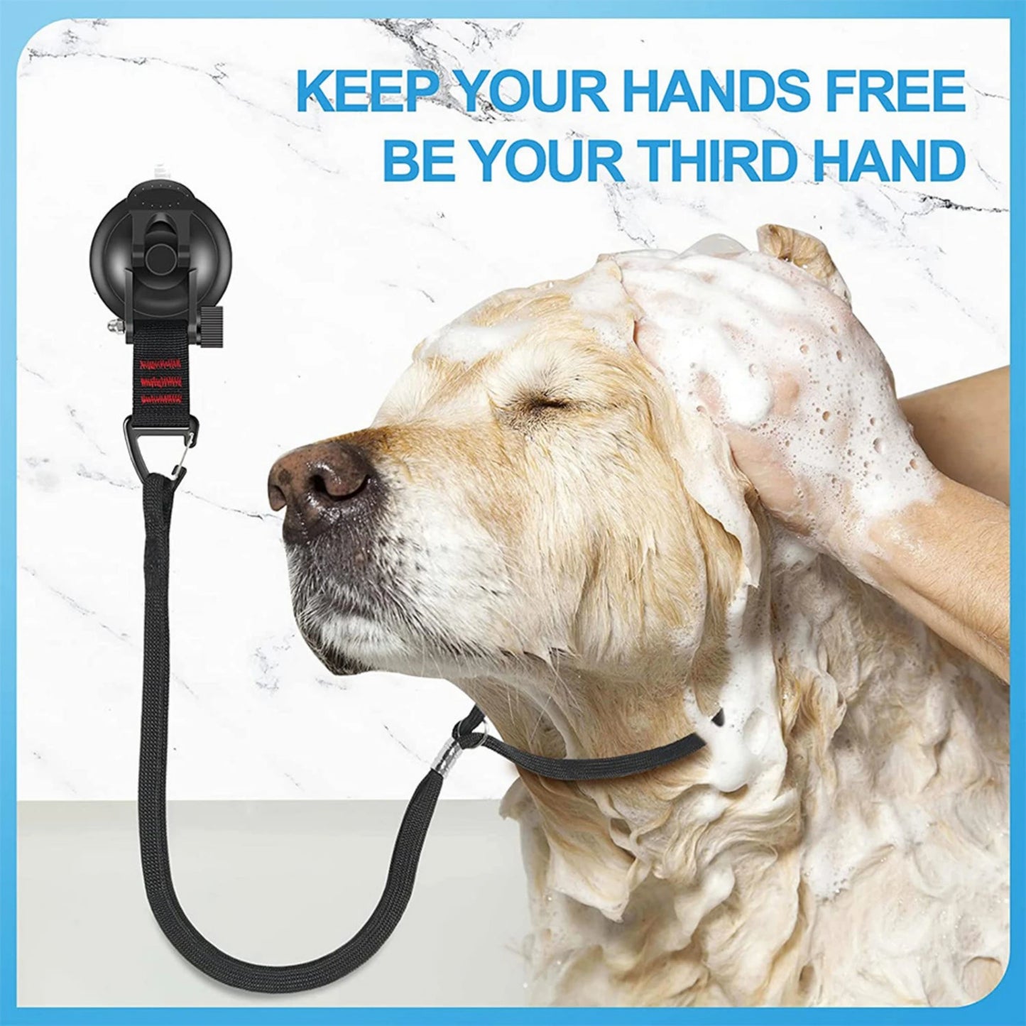 Loop per toelettatura animali domestici Fissatore per il bagno del cane