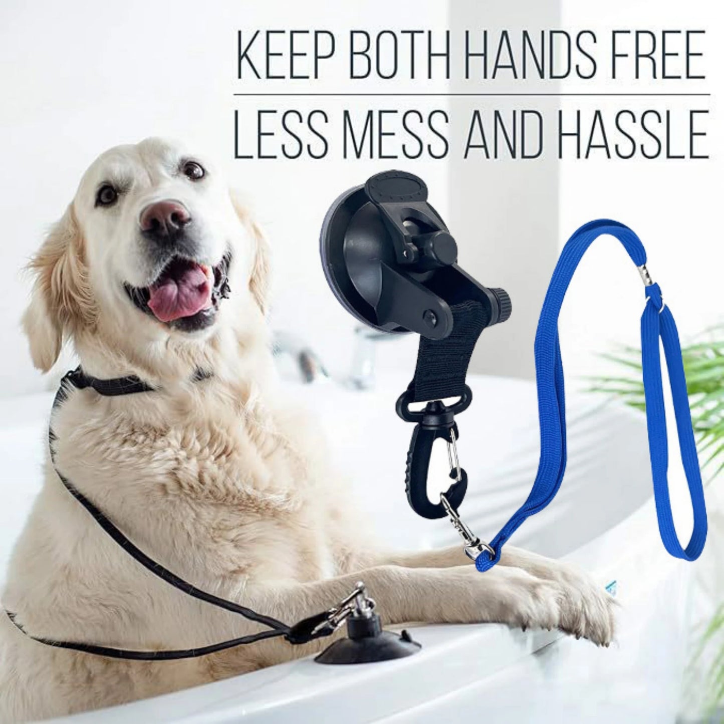 Loop per toelettatura animali domestici Fissatore per il bagno del cane