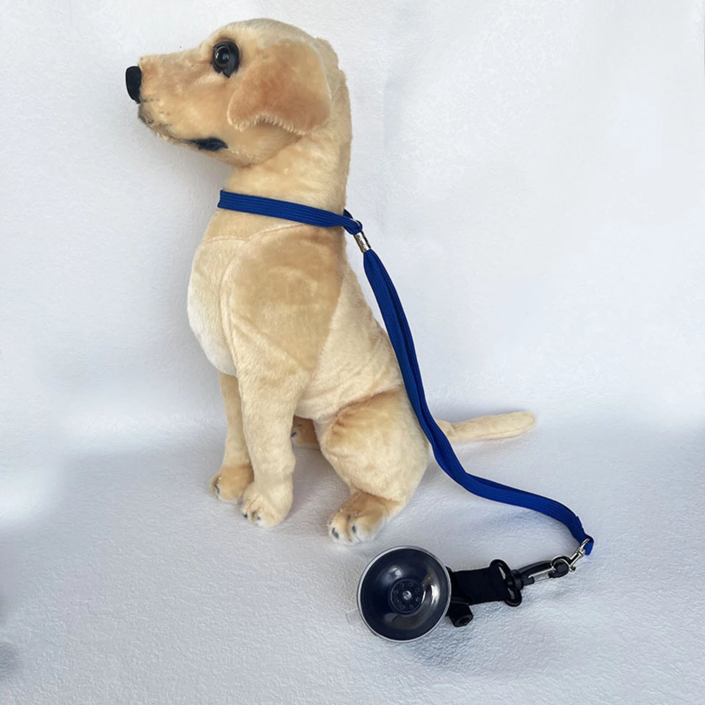 Loop per toelettatura animali domestici Fissatore per il bagno del cane