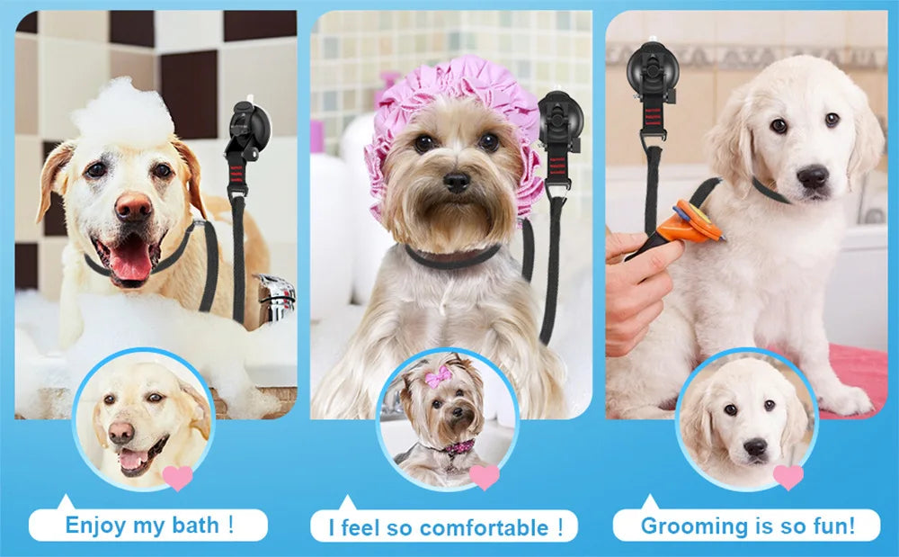 Loop per toelettatura animali domestici Fissatore per il bagno del cane