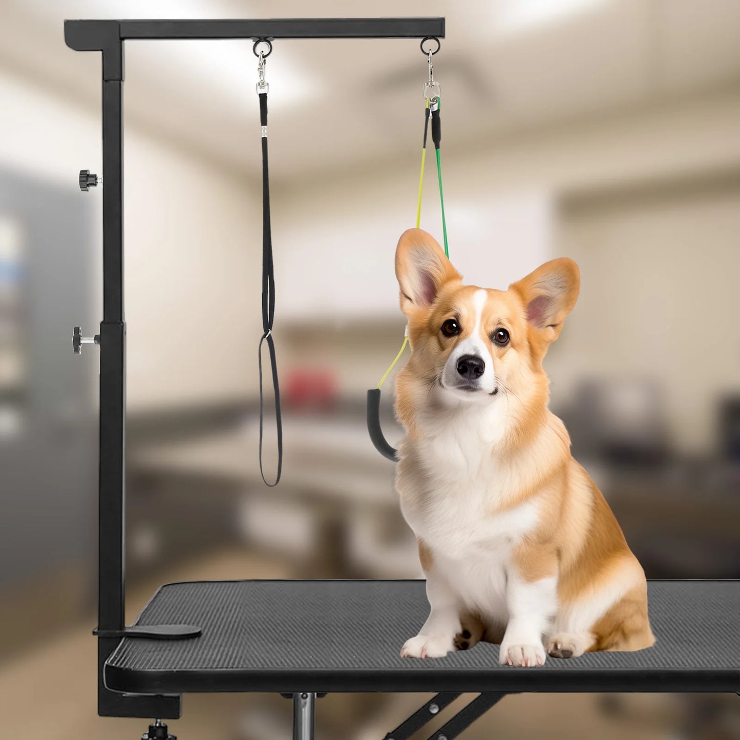 Braccio da tavolo per toelettatura per cani Supporto per toelettatura per animali domestici in ferro con morsetto Supporto fisso