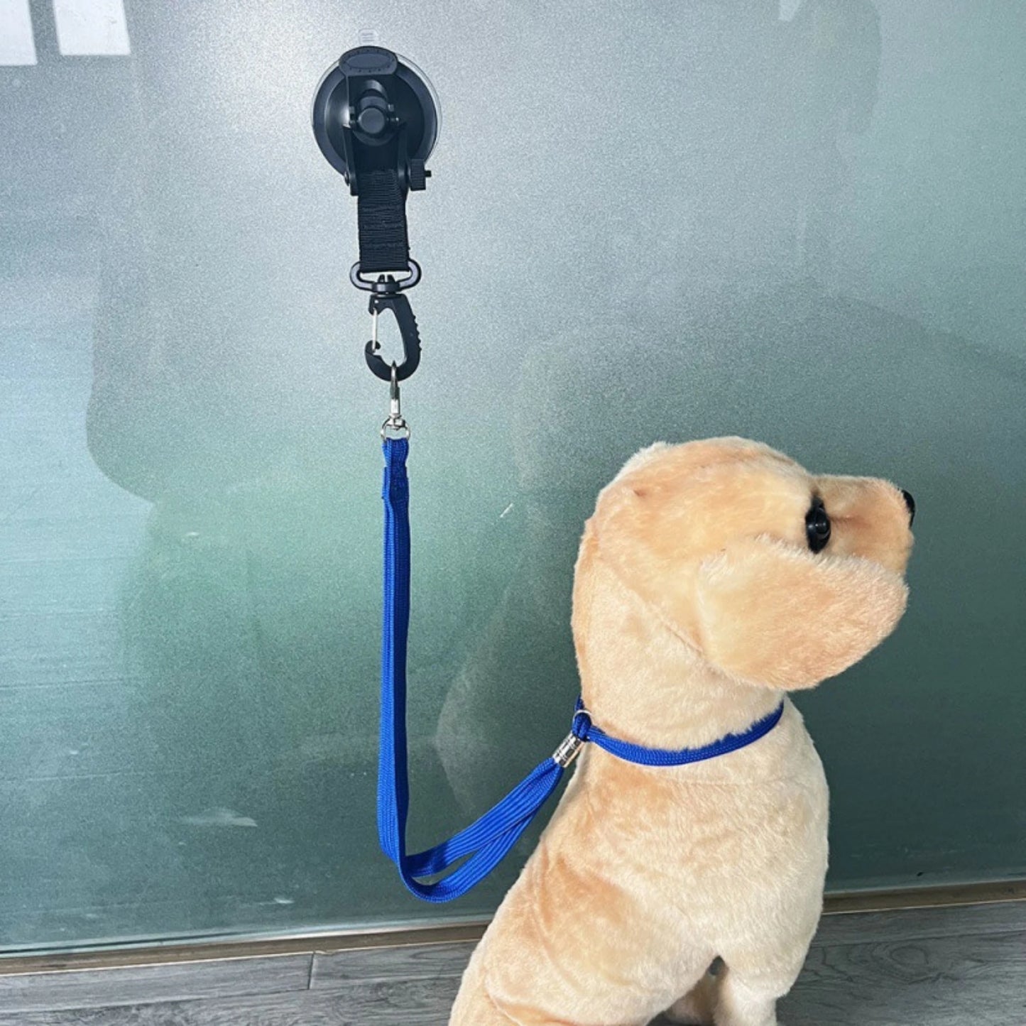 Loop per toelettatura animali domestici Fissatore per il bagno del cane