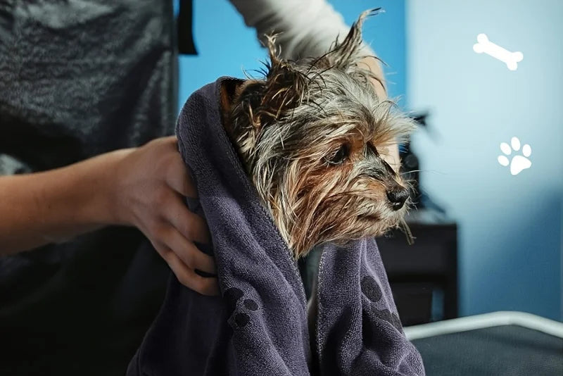 1pc Asciugamano per cani in microfibra ad asciugatura rapida