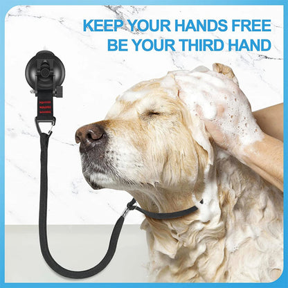 Loop per toelettatura animali domestici Fissatore per il bagno del cane