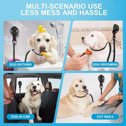 Loop per toelettatura animali domestici Fissatore per il bagno del cane
