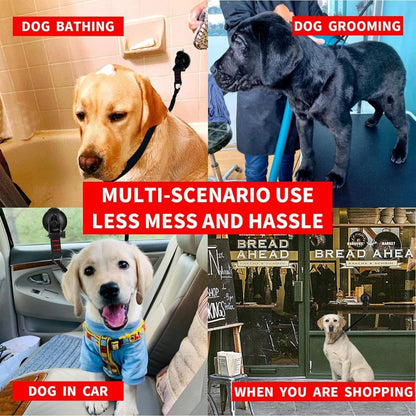 Loop per toelettatura animali domestici Fissatore per il bagno del cane